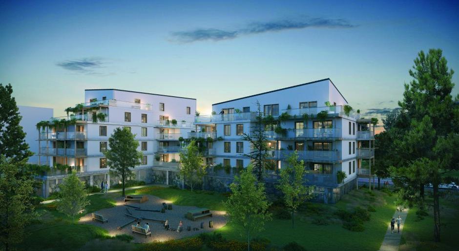 Perspective principale du programme