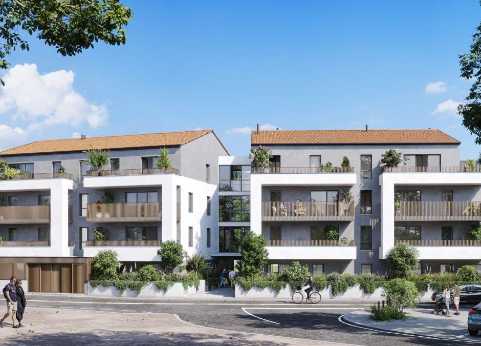 Perspective principale du programme