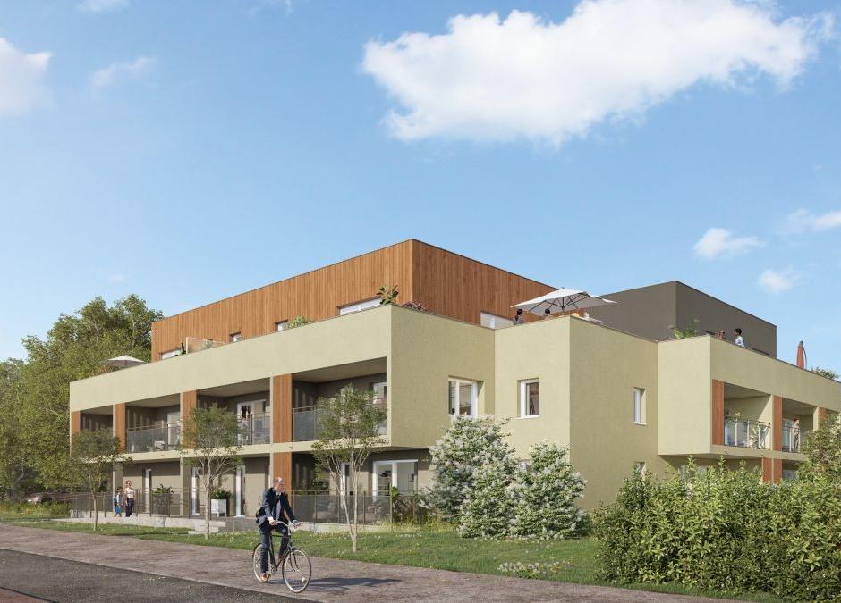 Perspective principale du programme