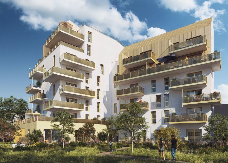 Perspective principale du programme