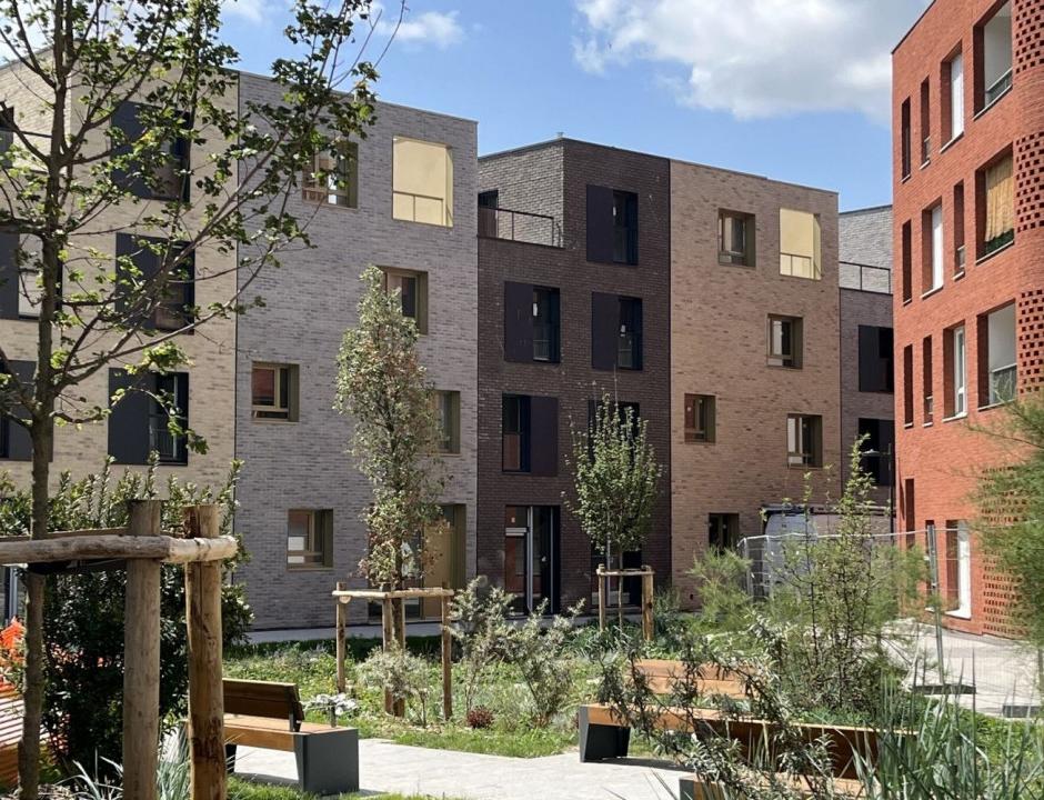 Perspective principale du programme