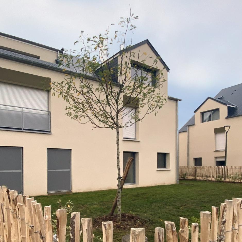 Perspective principale du programme