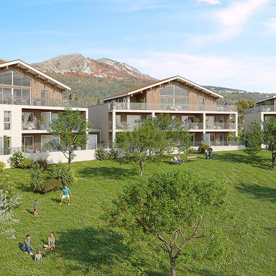 Perspective principale du programme