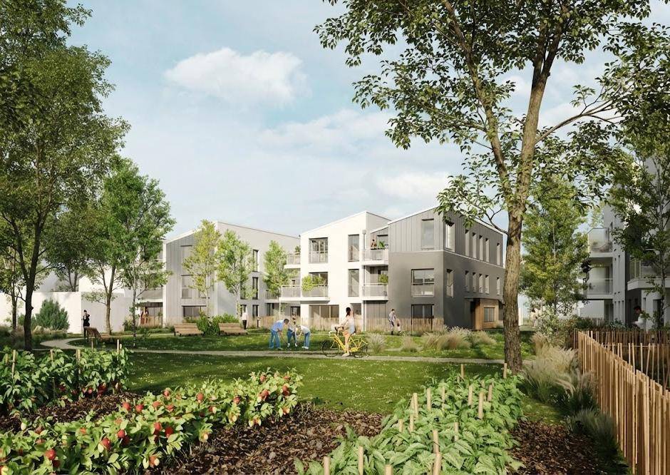 Perspective principale du programme