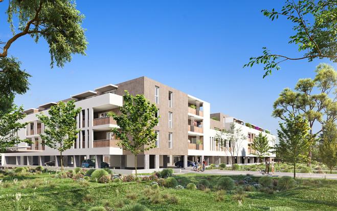 Perspective principale du programme