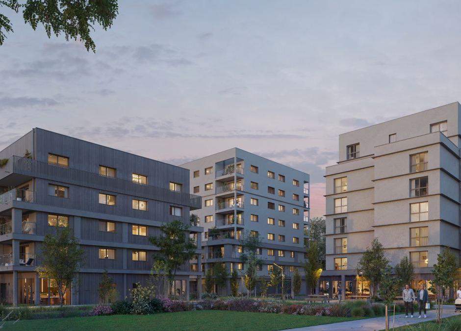 Perspective principale du programme