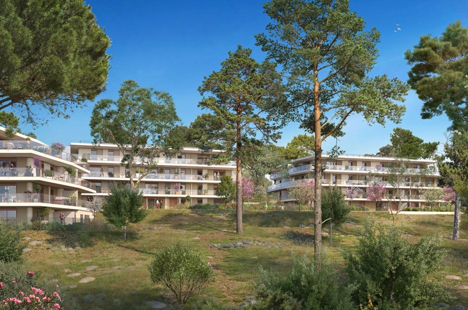 Perspective principale du programme