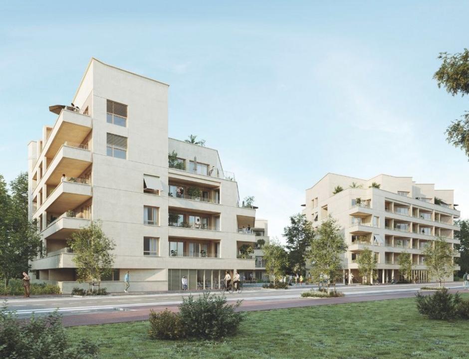 Perspective principale du programme