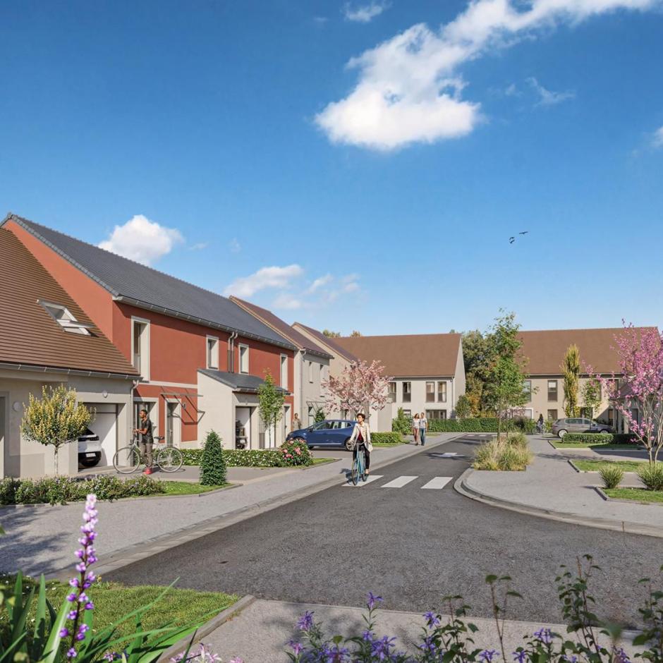 Perspective principale du programme