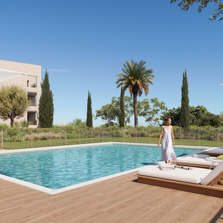 Perspective principale du programme