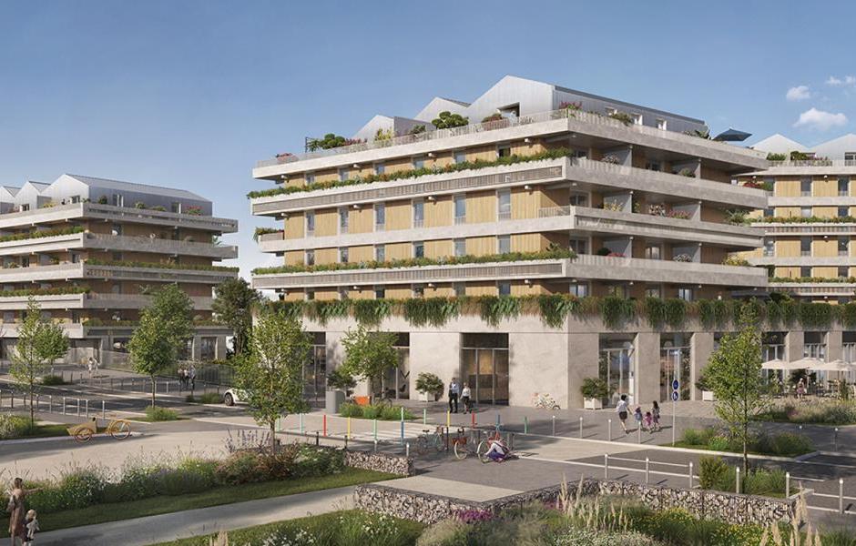 Perspective principale du programme