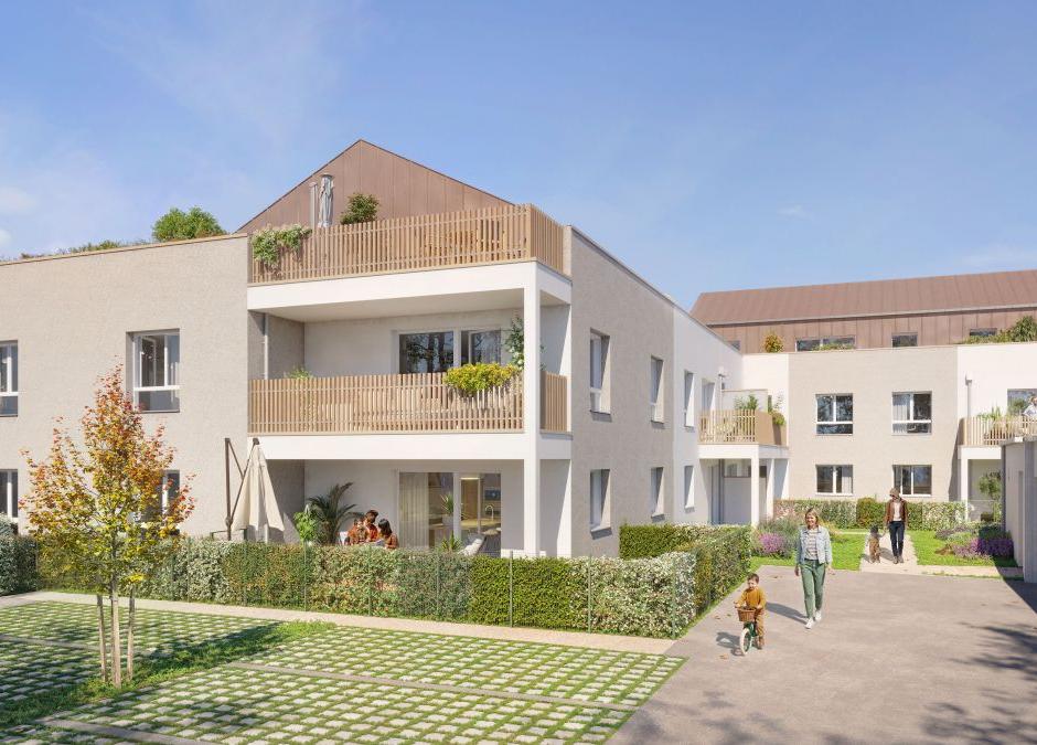 Perspective principale du programme