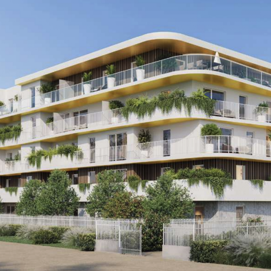 Perspective principale du programme