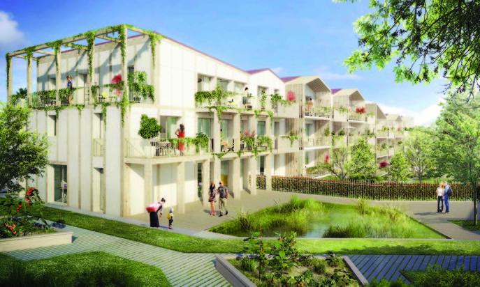Perspective principale du programme