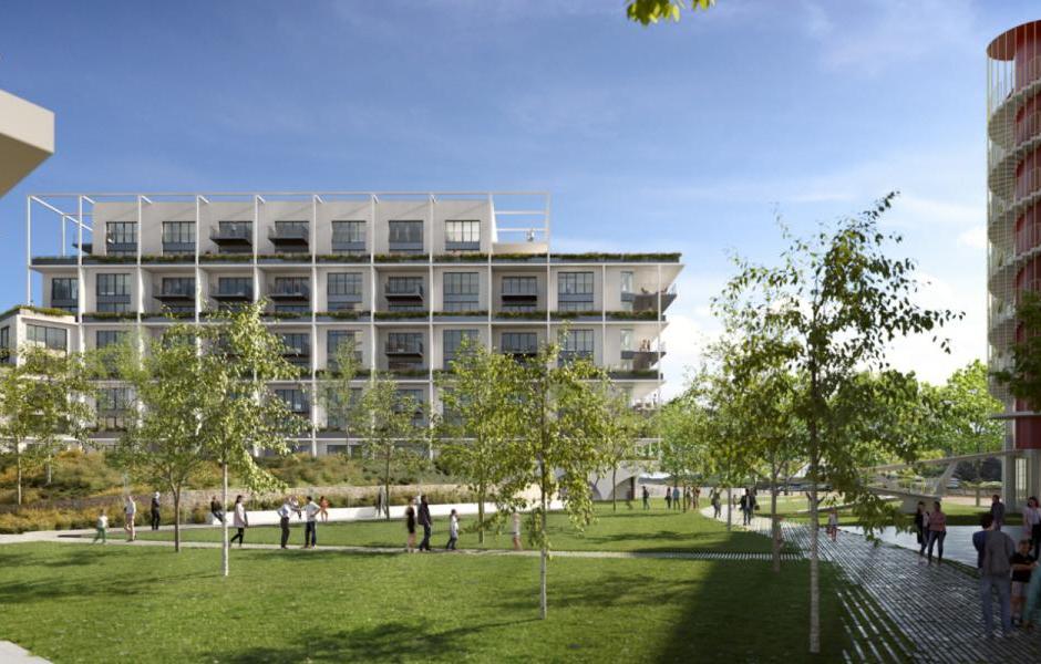Perspective principale du programme