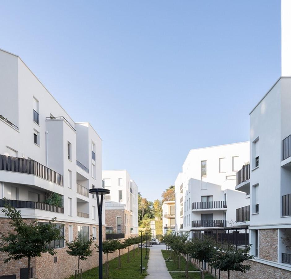 Perspective principale du programme