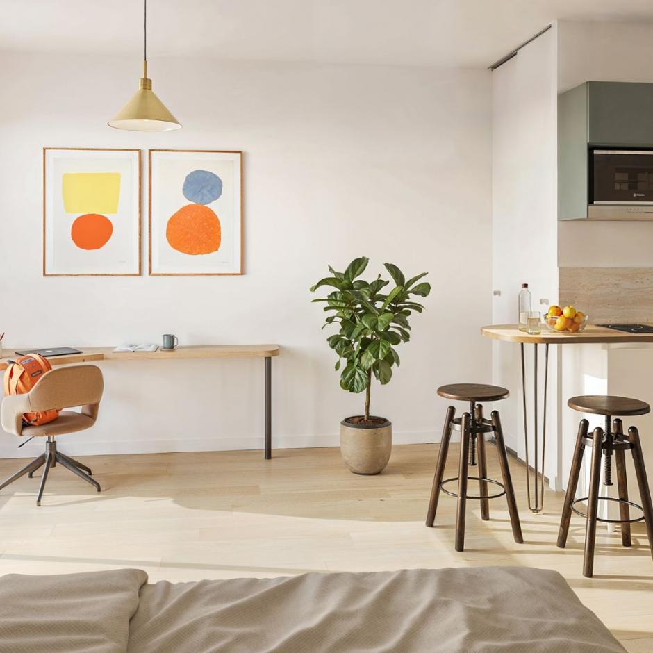 Perspective principale du programme