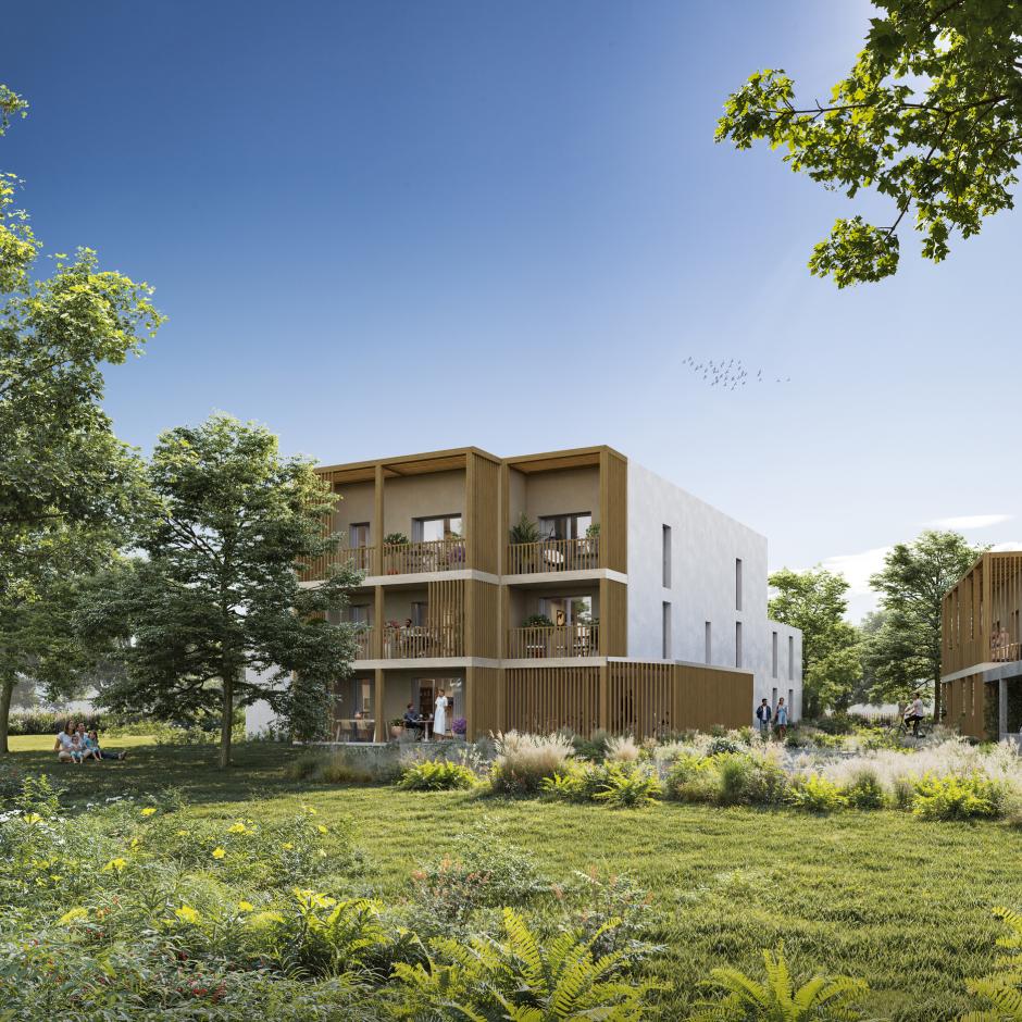 Perspective principale du programme