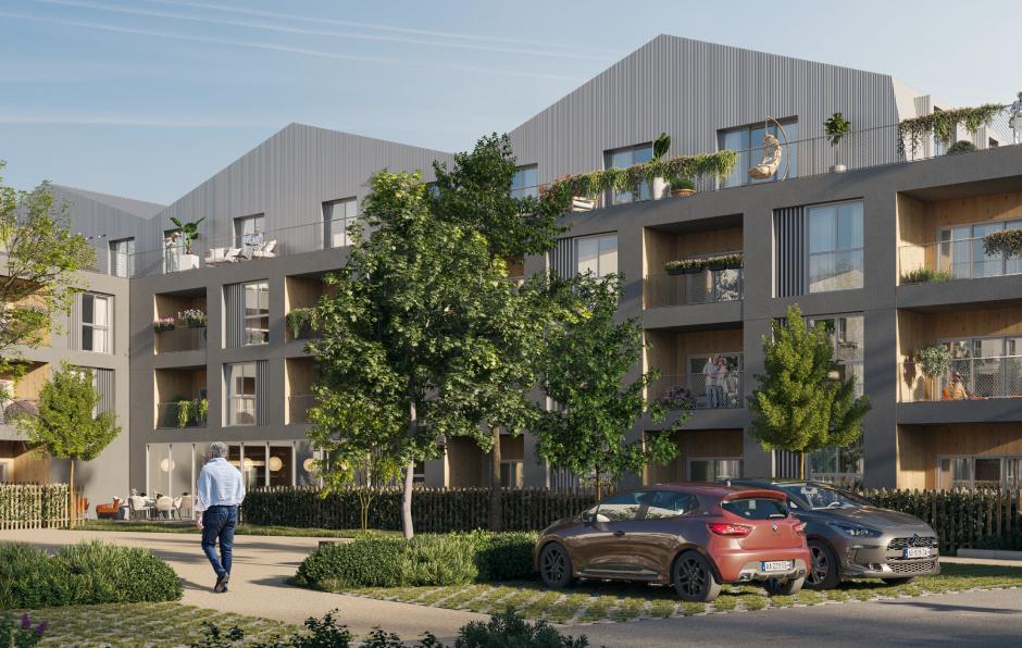 Perspective principale du programme