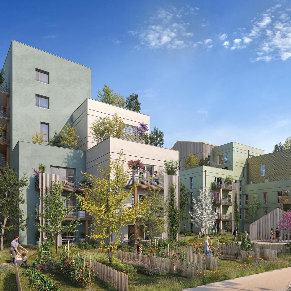 Perspective principale du programme