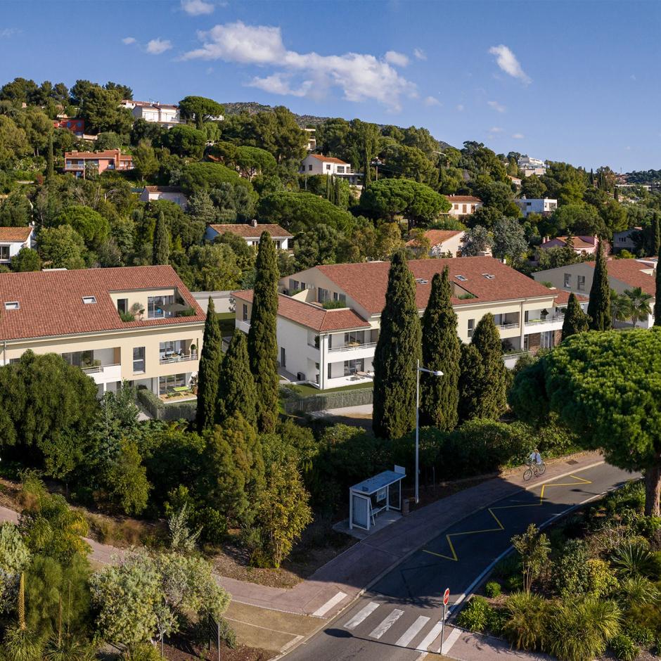 Perspective principale du programme