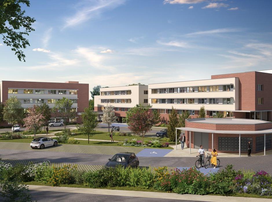 Perspective principale du programme