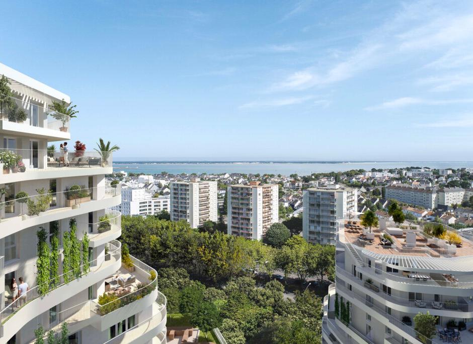 Perspective principale du programme