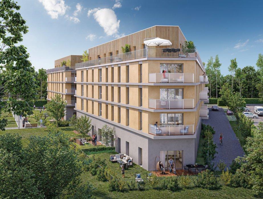 Perspective principale du programme