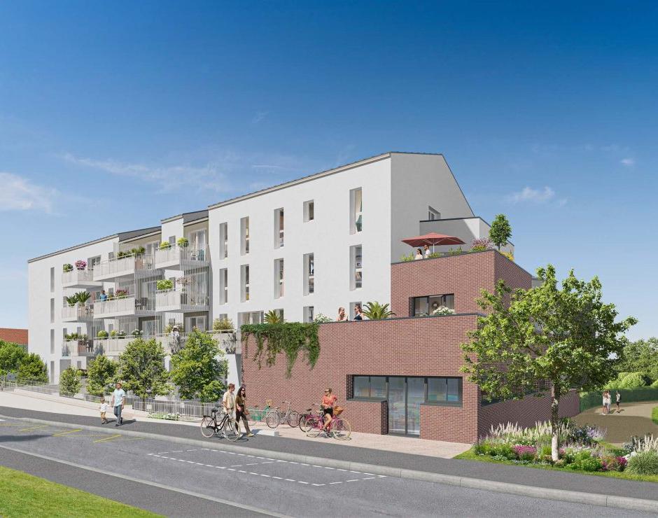 Perspective principale du programme