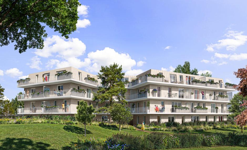 Perspective principale du programme