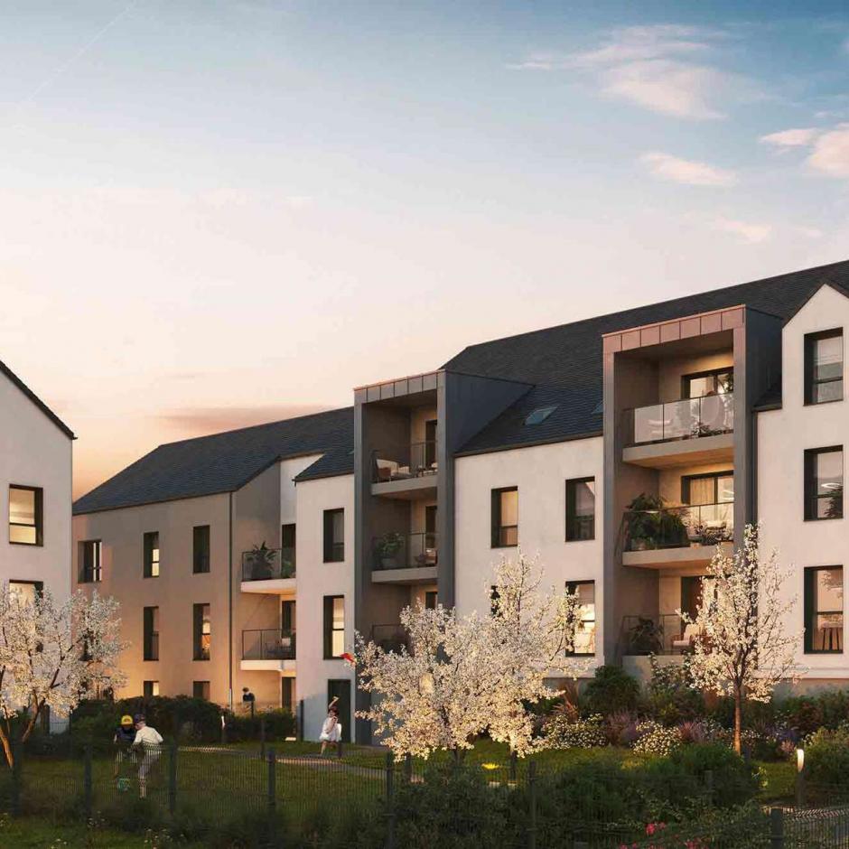 Perspective principale du programme