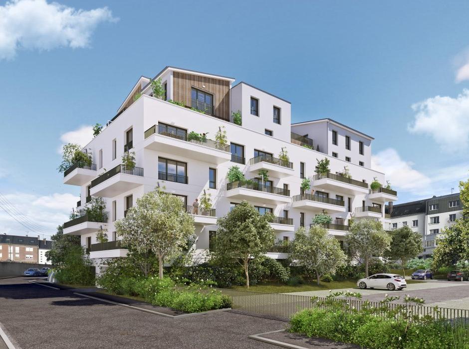 Perspective principale du programme