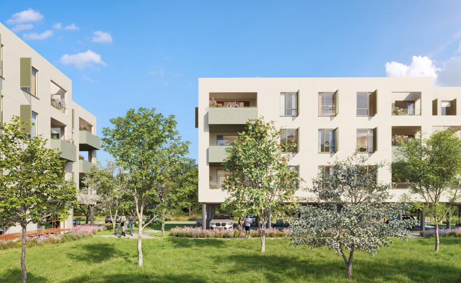 Perspective principale du programme