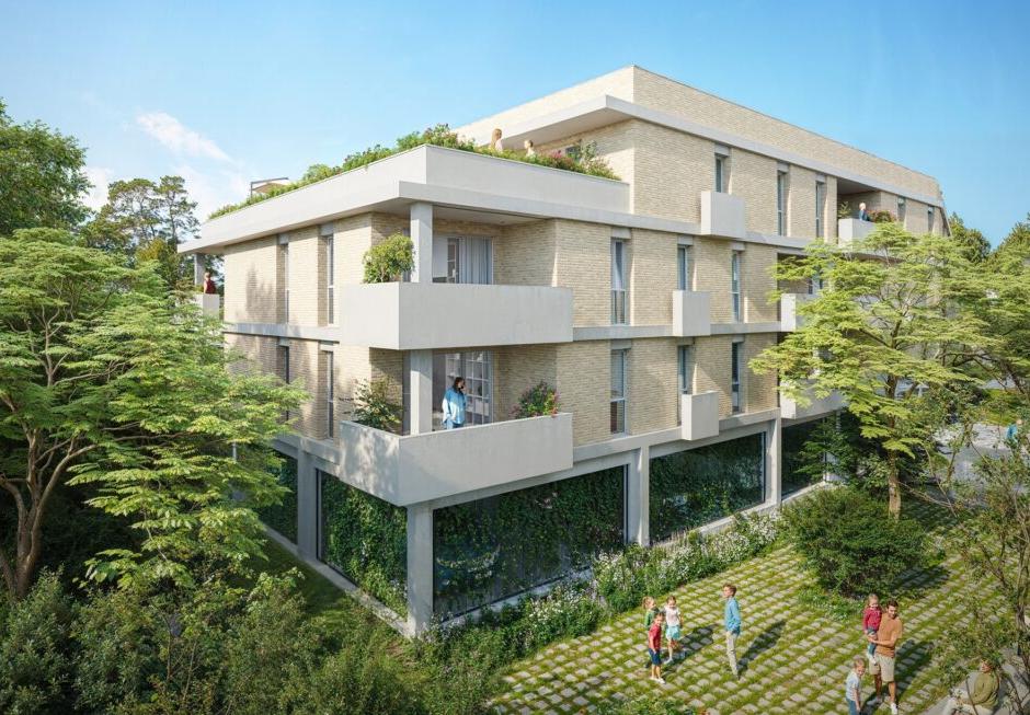 Perspective principale du programme