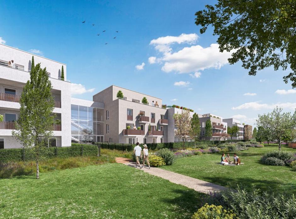 Perspective principale du programme