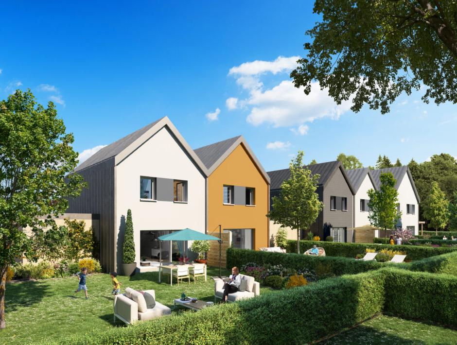 Perspective principale du programme