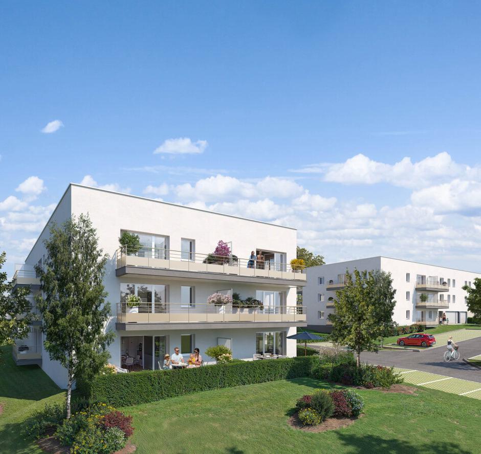 Perspective principale du programme