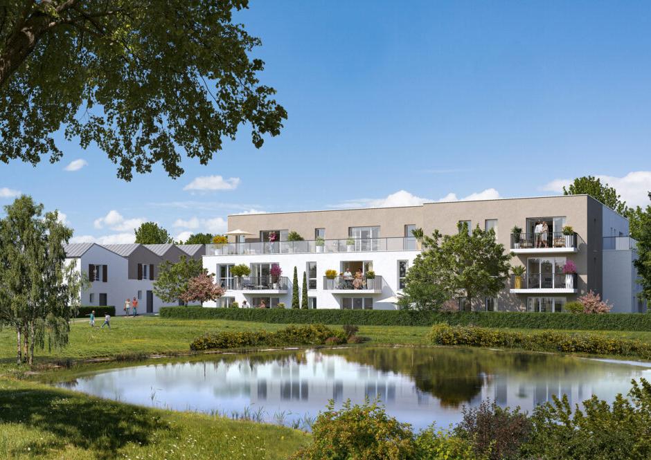 Perspective principale du programme