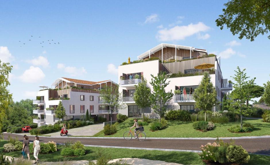 Perspective principale du programme