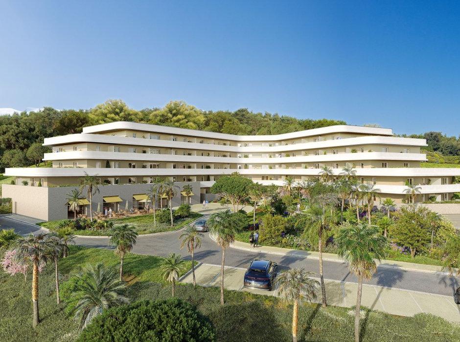 Perspective principale du programme