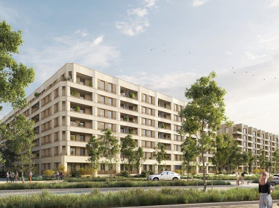 Perspective principale du programme