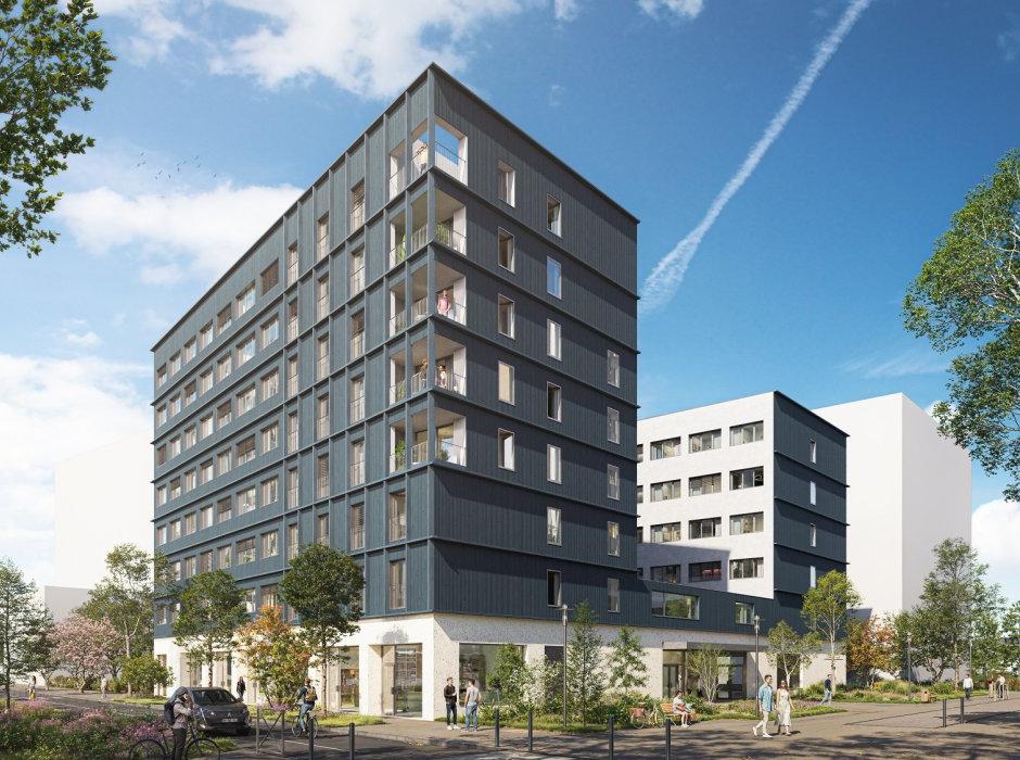 Perspective principale du programme