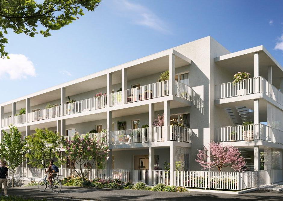 Perspective principale du programme