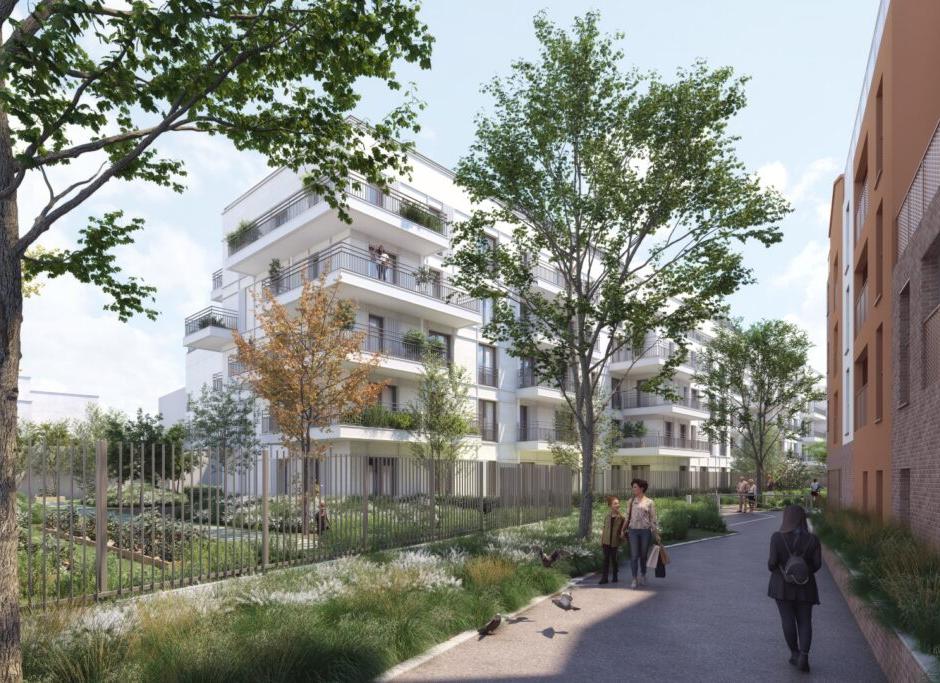 Perspective principale du programme