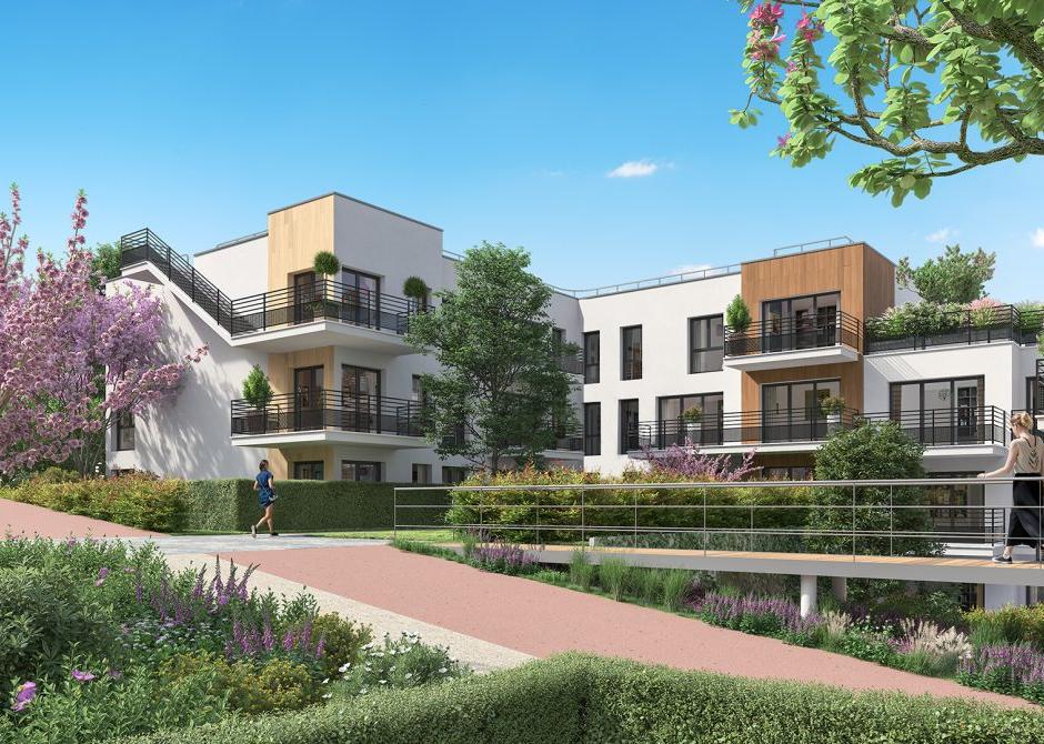 Perspective principale du programme