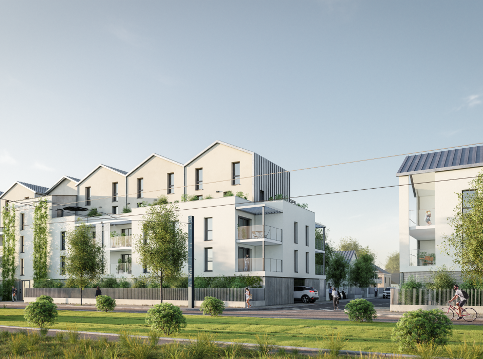 Perspective principale du programme