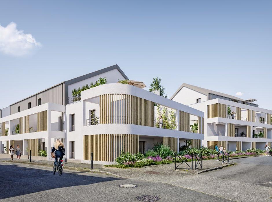 Perspective principale du programme