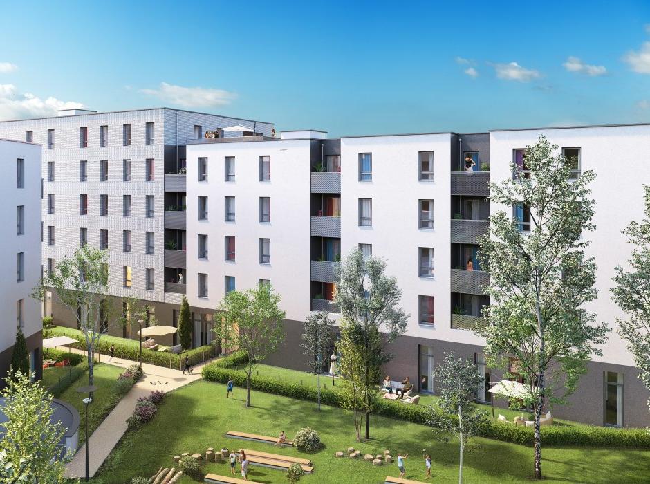 Perspective principale du programme