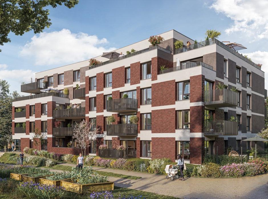 Perspective principale du programme