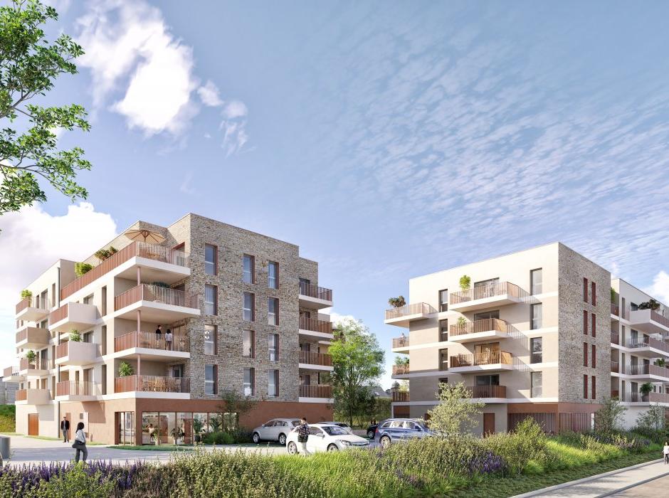 Perspective principale du programme